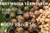 Bán hạt macadamia sỉ lẻ, hạt macca tết giá rẻ nè 0909 886 836 - anh 1