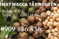 Bán hạt macadamia sỉ lẻ, hạt macca tết giá rẻ nè 0909 886 836